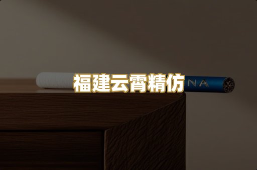 福建云霄精仿